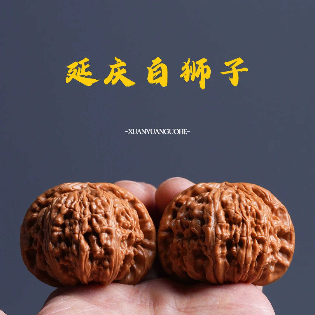 【启子专属】 QZ05 延庆白狮子（闷白） 文玩核桃