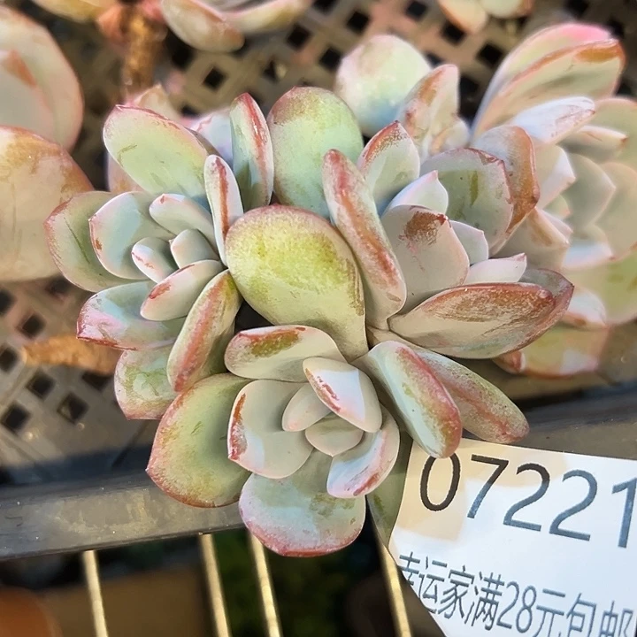 幸运的是我还没遇到过
