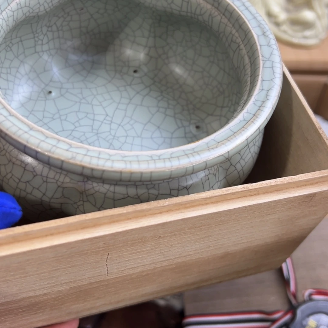 茶宠哈哈哈哈哈哈哈哈哈哈哈哈