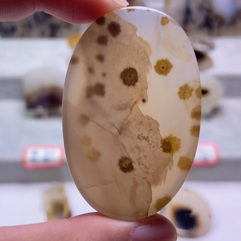 【闪购商品】未镶嵌玛瑙/玉髓珠宝奇石