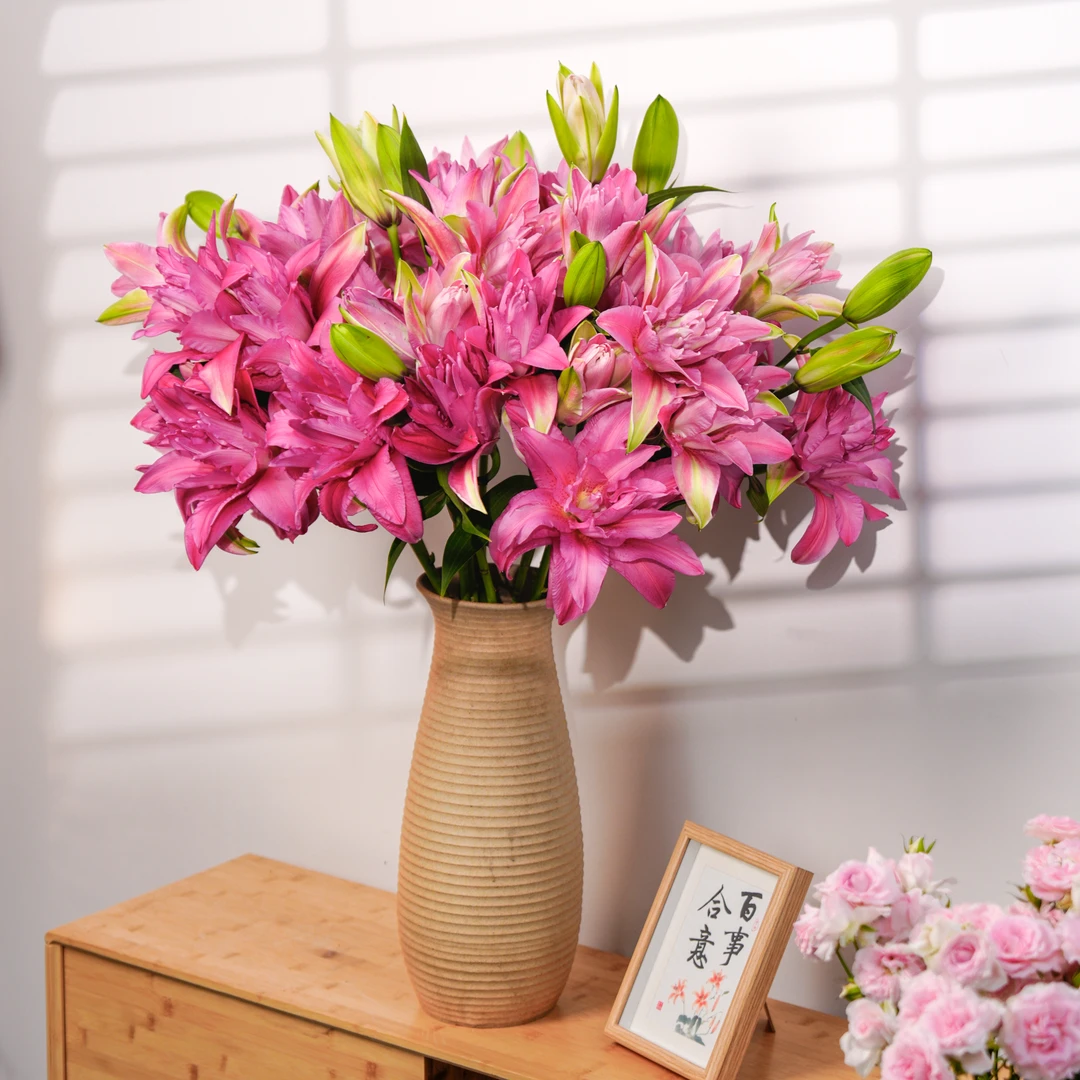 云南木木花卉宝莲灯 重瓣小众香水百合 水养鲜切花办公室送礼