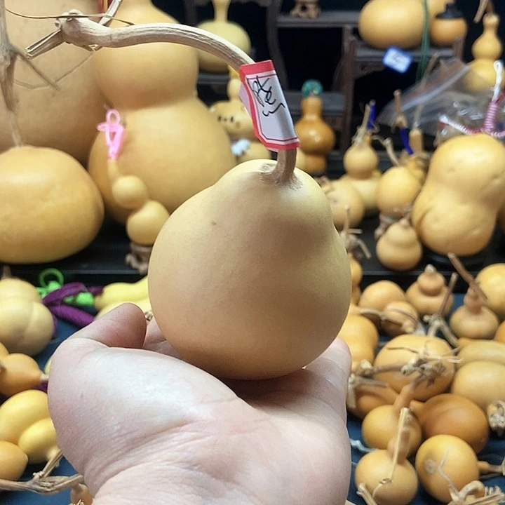 熊二宝子恭喜发财