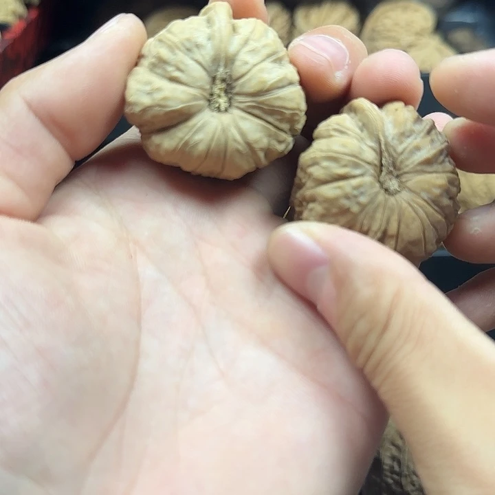 昭***卉吊坠龙脊菩提啊啊啊啊啊啊南瓜一根筋9