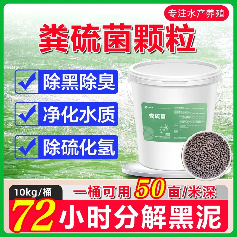 粪硫菌水产养殖专用除臭除黑除硫化氢