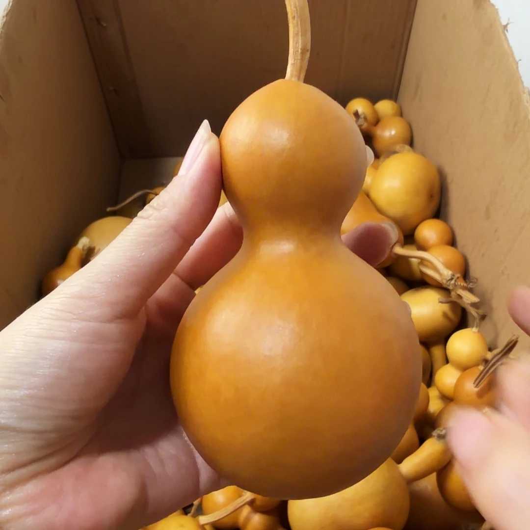 唐***唐纯天然的真葫芦53