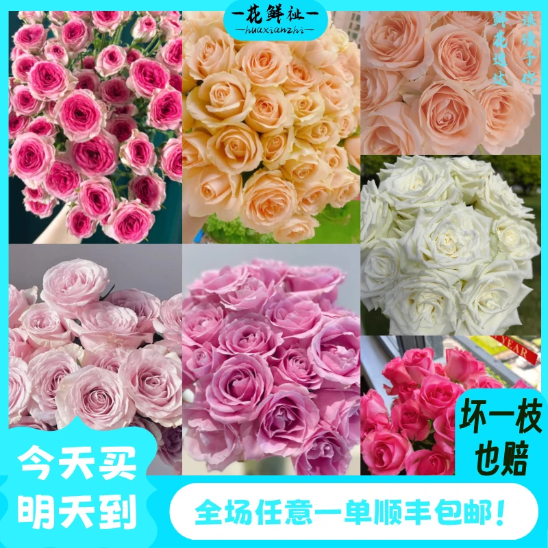 花鲜祉【福利大放送！玫瑰盲盒20枝！】全场任意一单顺丰包邮次日达