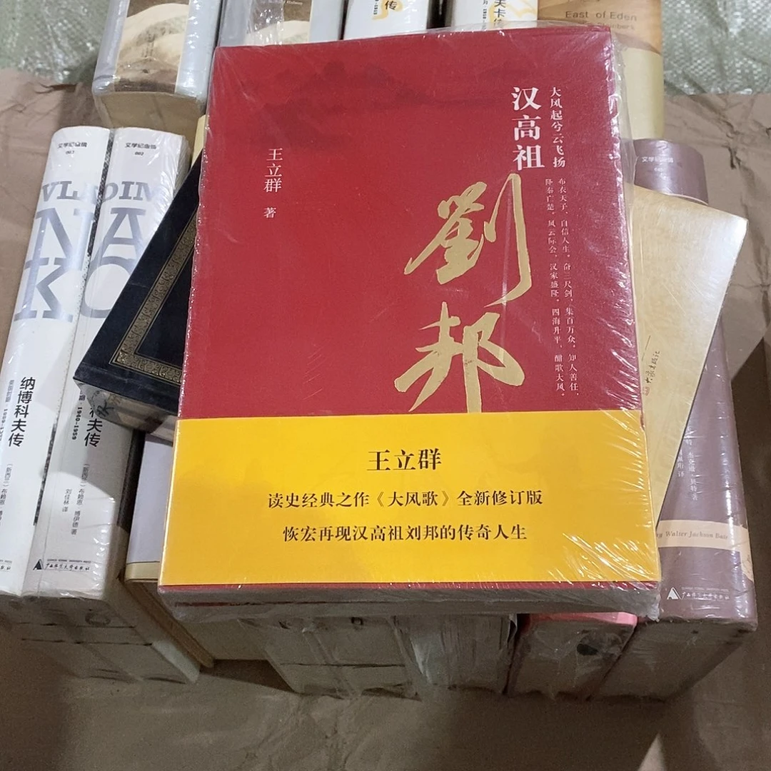 王立群  汉高祖  刘邦