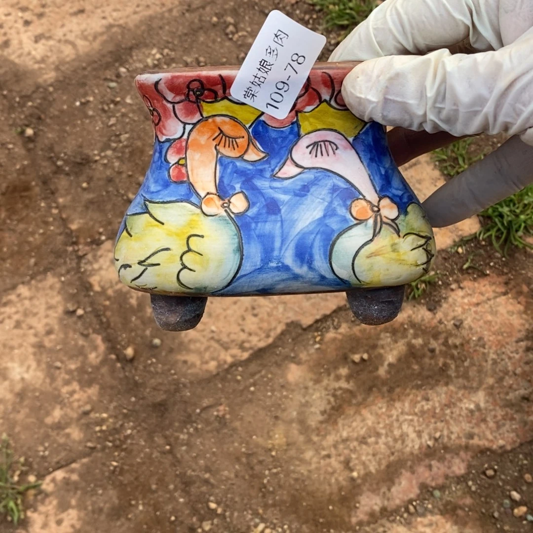 …****┴78号多肉盆一个西卡