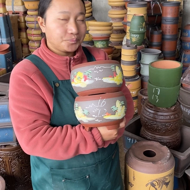 紫砂花盆盆栽花卉苗木种植