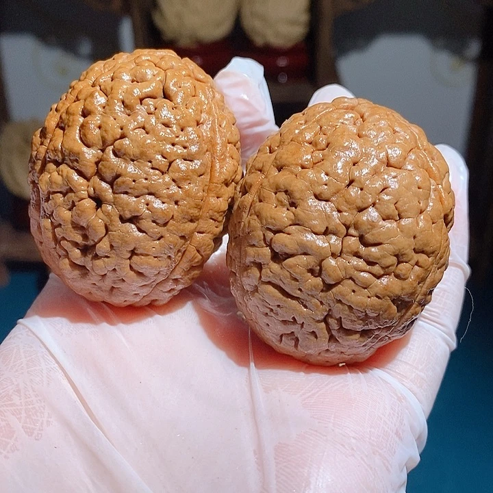 野生三瓣脑纹大金刚3948