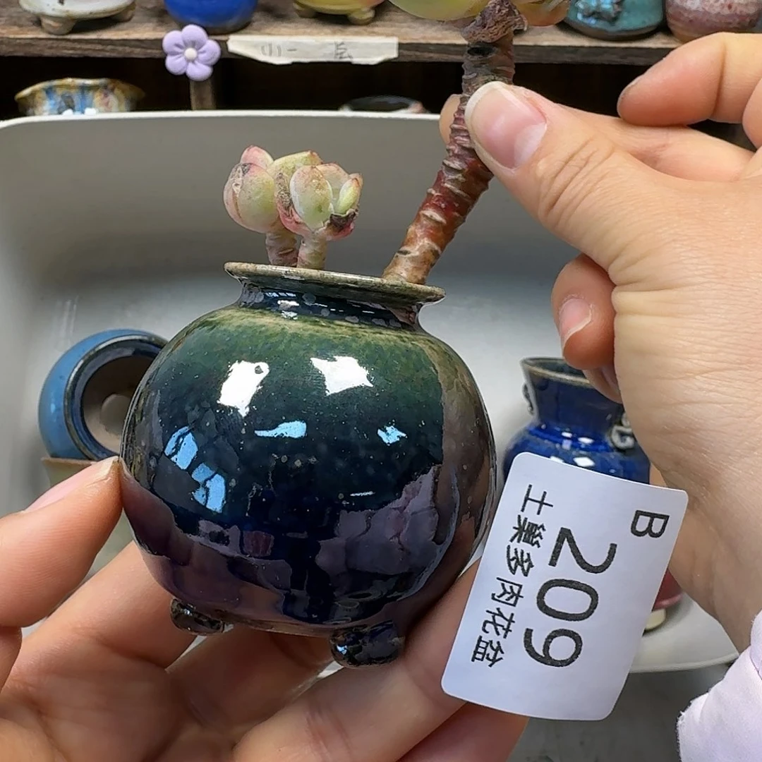 罐陶瓷工艺与艺术