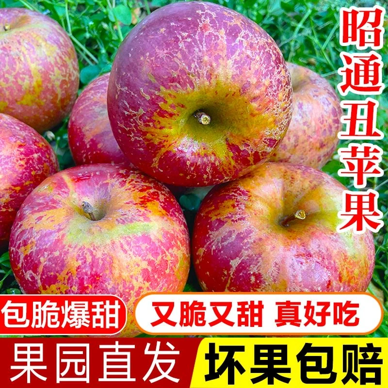 【精选中大果】云南昭通正宗冰糖心丑苹果新鲜脆甜应季水果产地直发