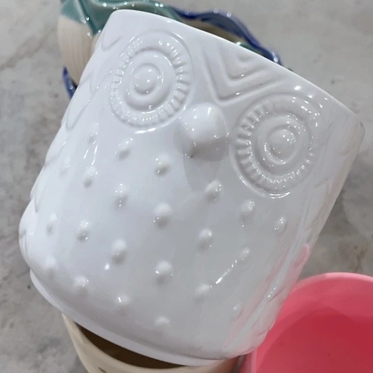 多肉绿植陶瓷花盆9:9包邮