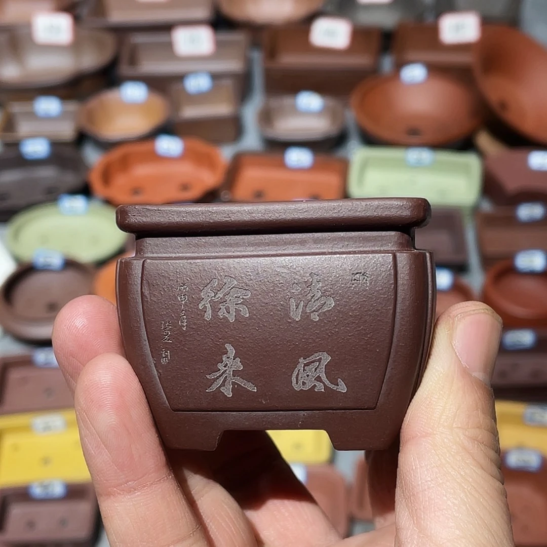 紫砂春***冬紫砂小盆5*4