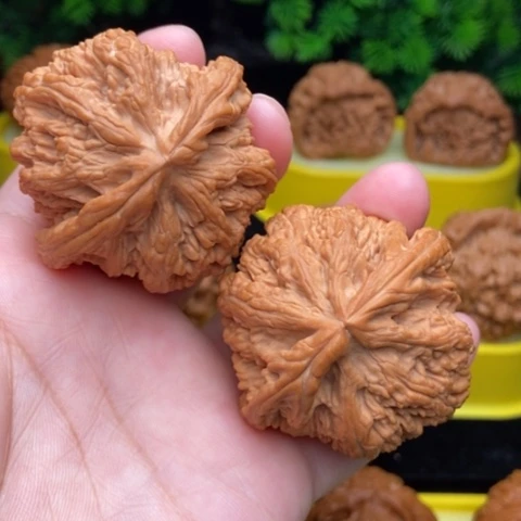 把件文玩核桃粗筋48全品
