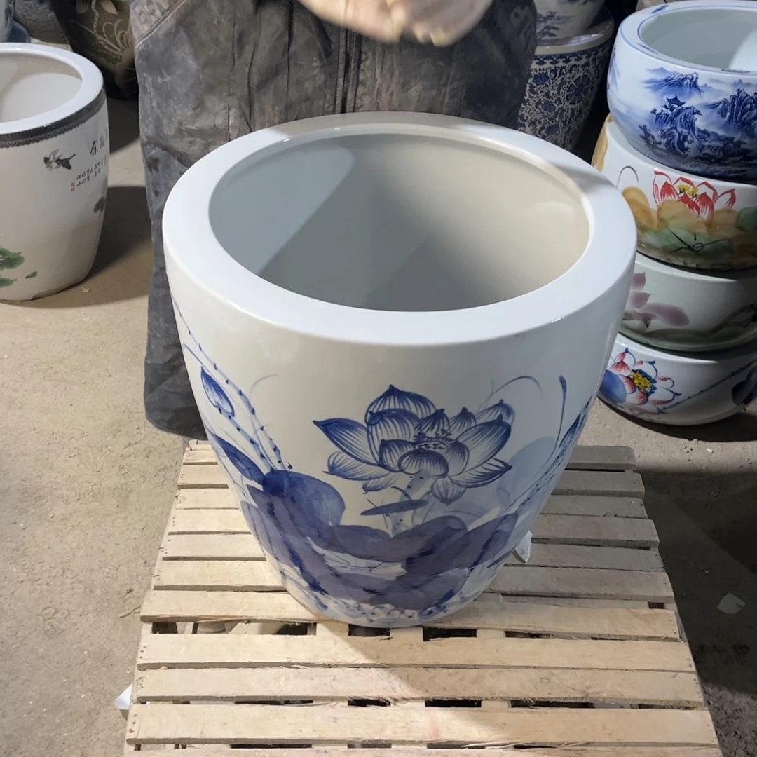 瓷片兰荷花43高度43.8888