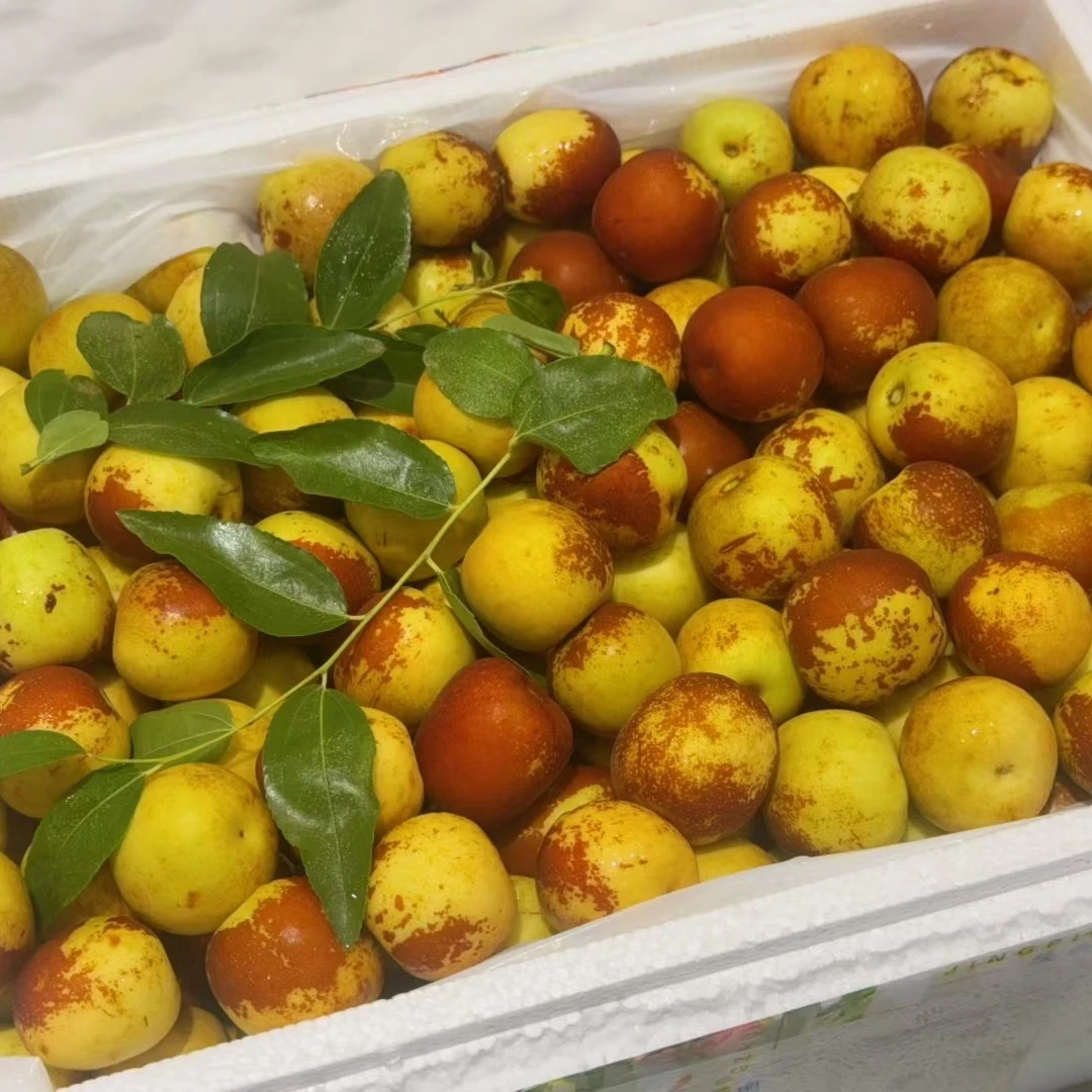 大荔冰糖冬枣（酥，脆，甜，水分大，肉质紧实）