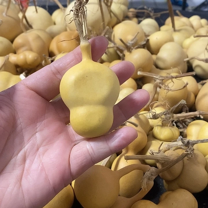 葫芦的颜色很好看