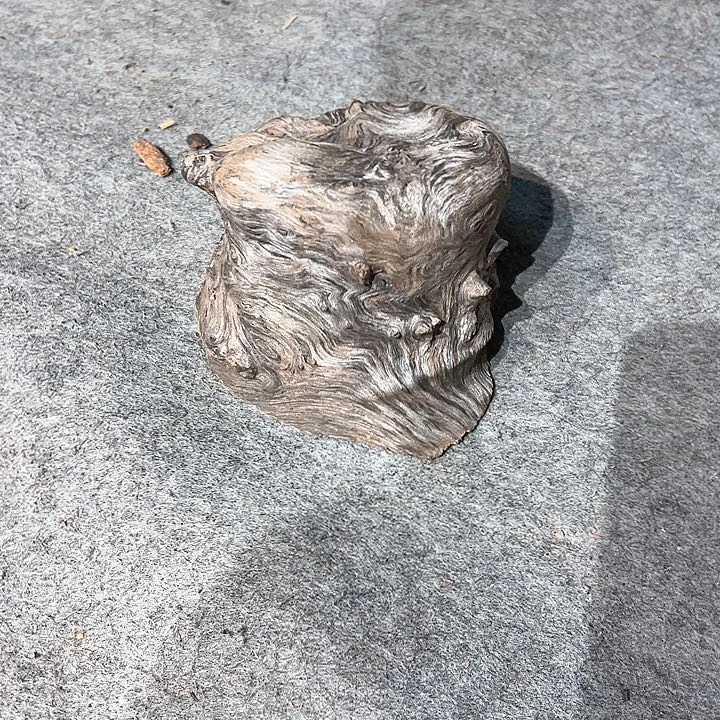 荔枝木㐅****2荔枝木黑毛料