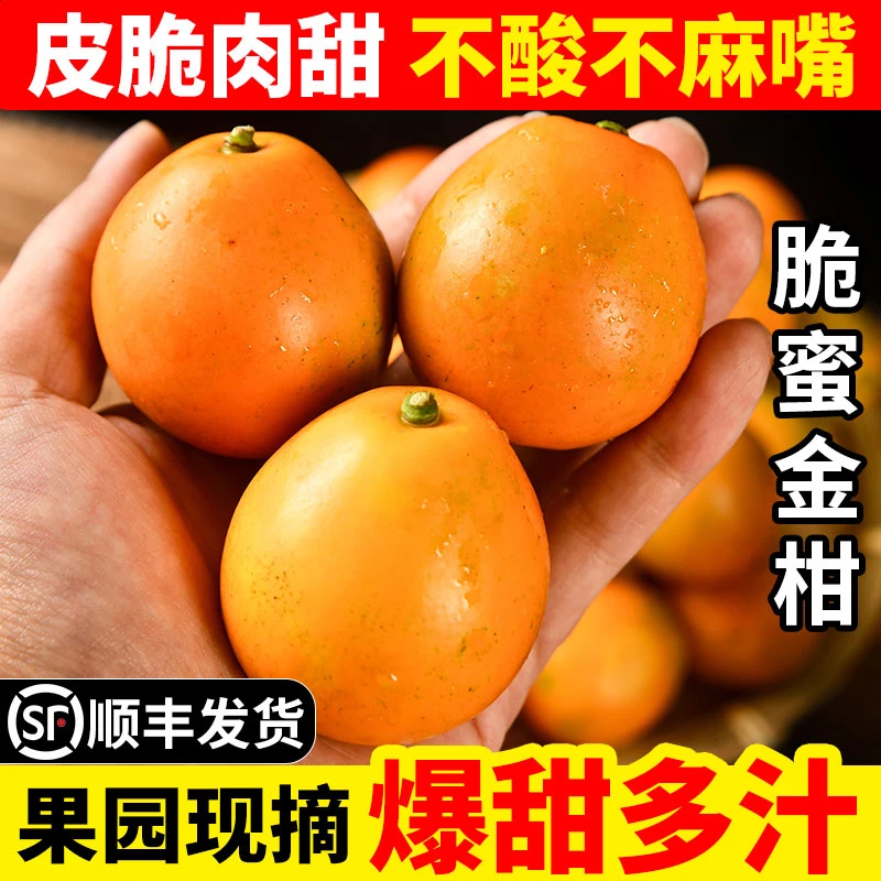 【顺丰】正宗融安脆蜜金桔三代脆蜜金柑独立包装特大果无籽新鲜直发