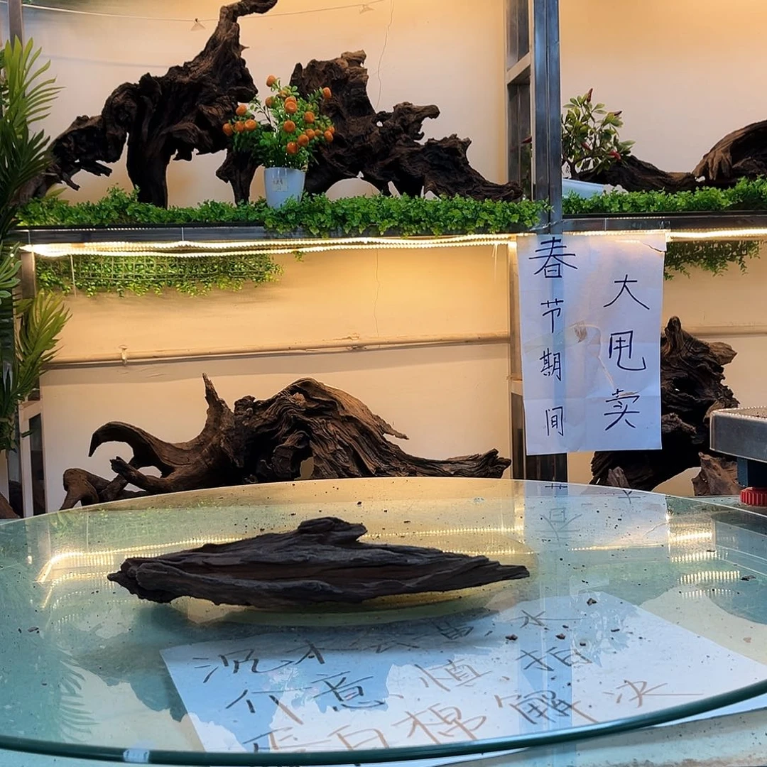 柚木沉木鱼缸造景