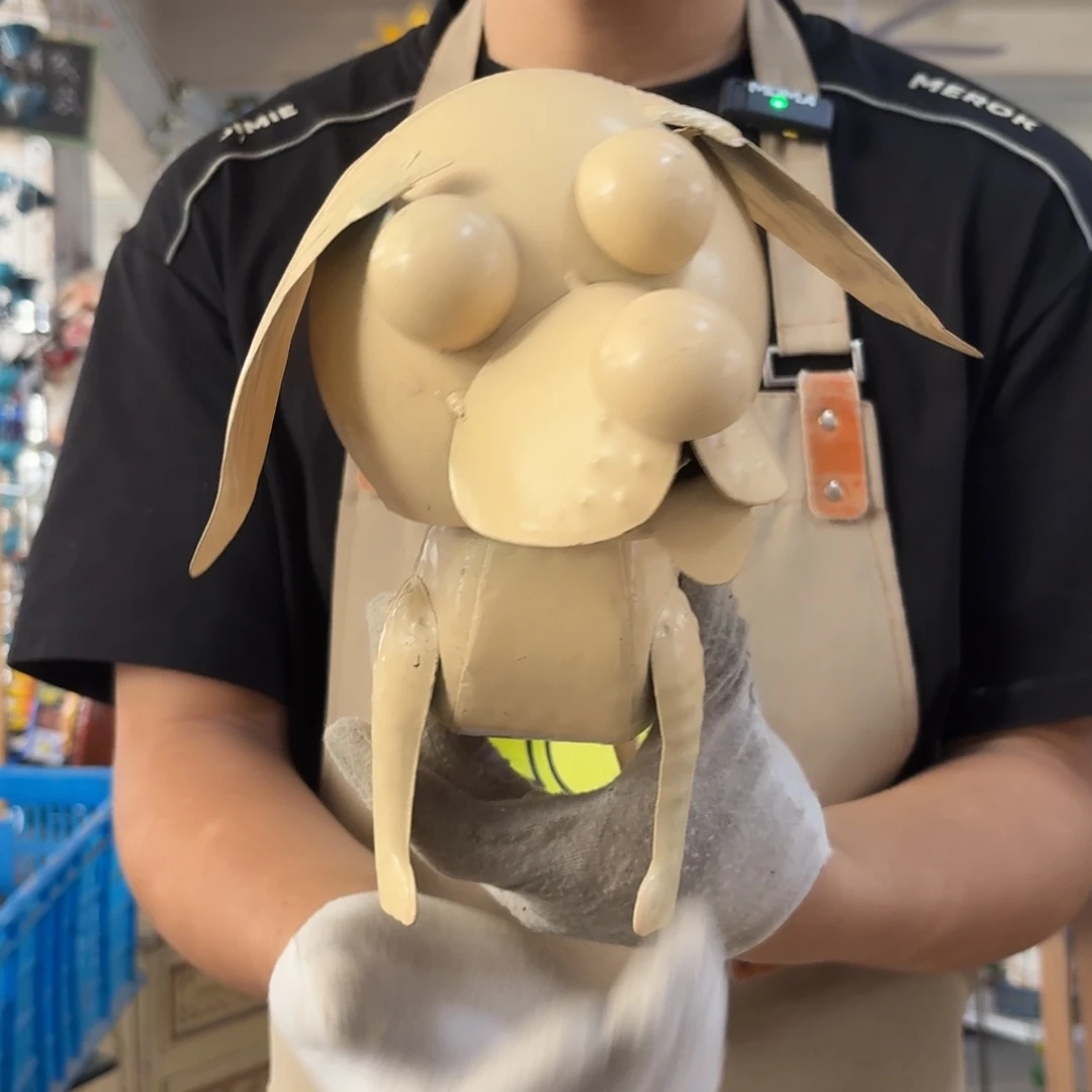 核桃木/黑胡桃（胡桃木）