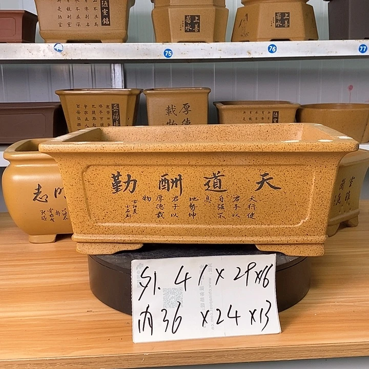 紫砂花盆今天下午