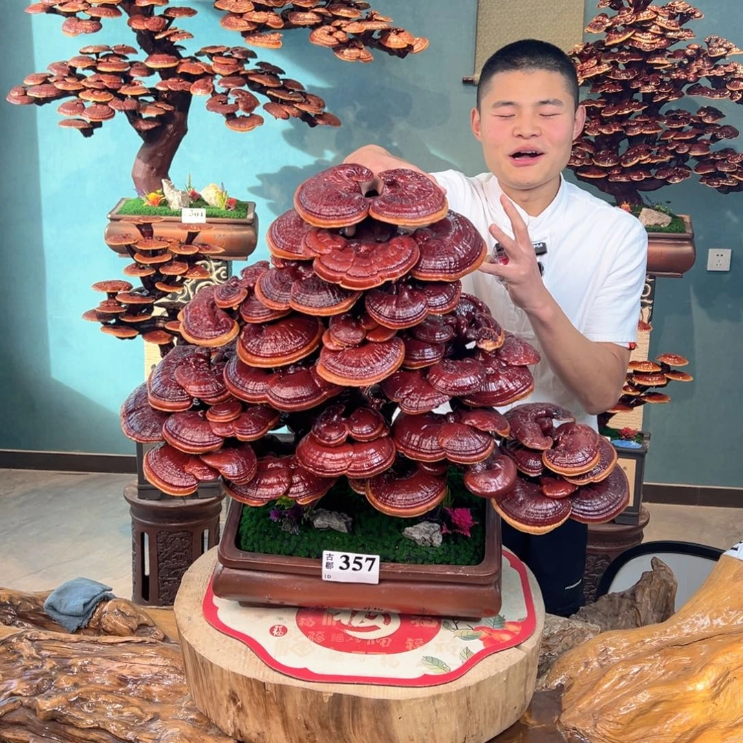 无花朵888888888888