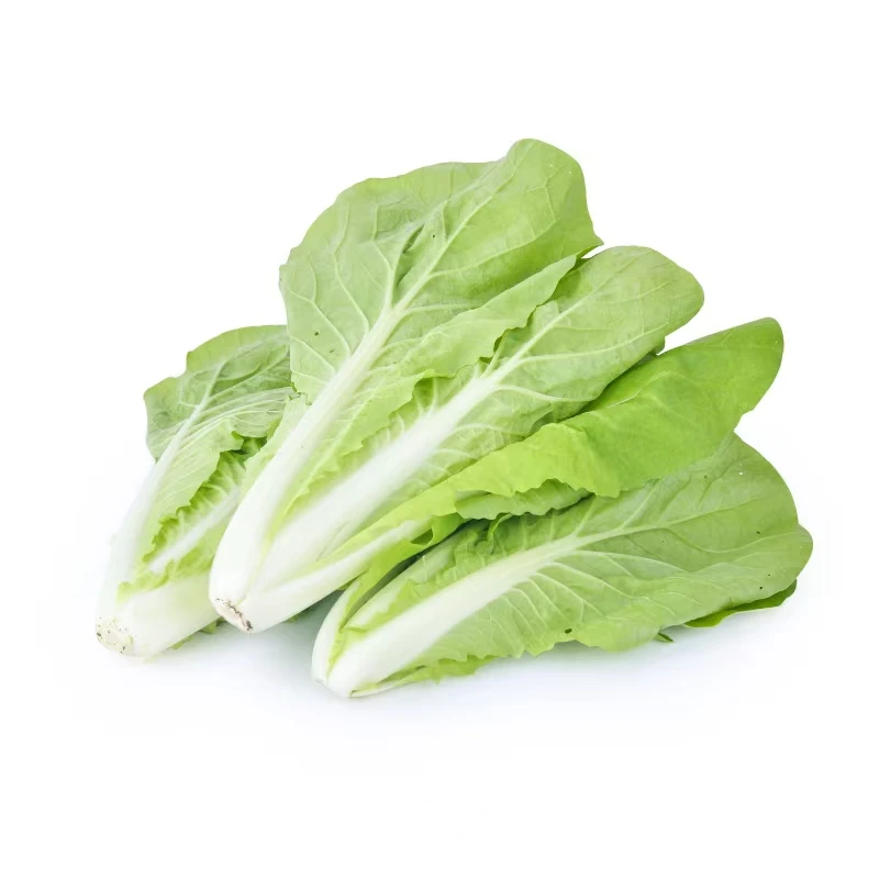 产地直发杭白菜400g±20g/份