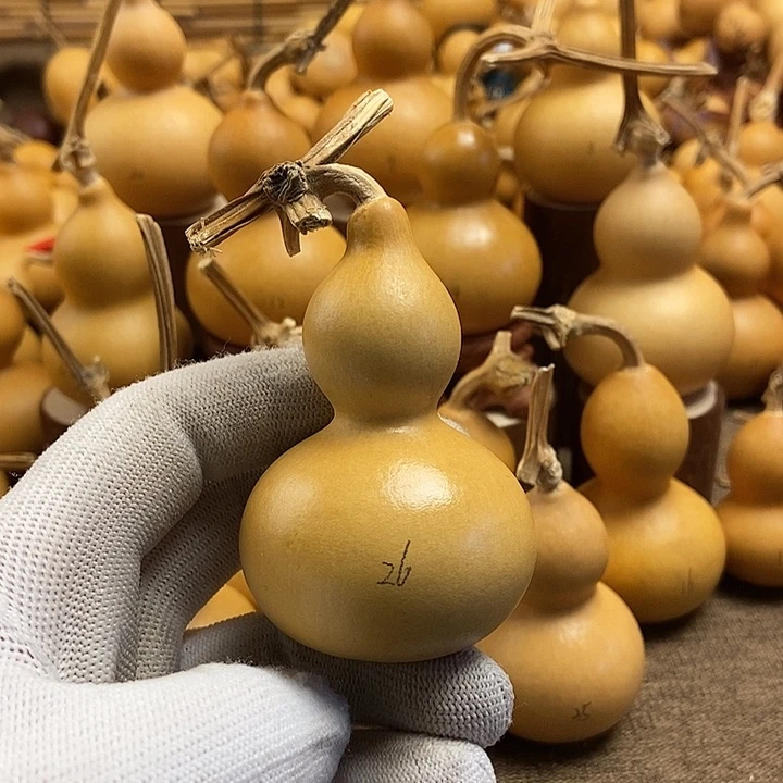 文玩葫芦 完美主义者 慎拍26