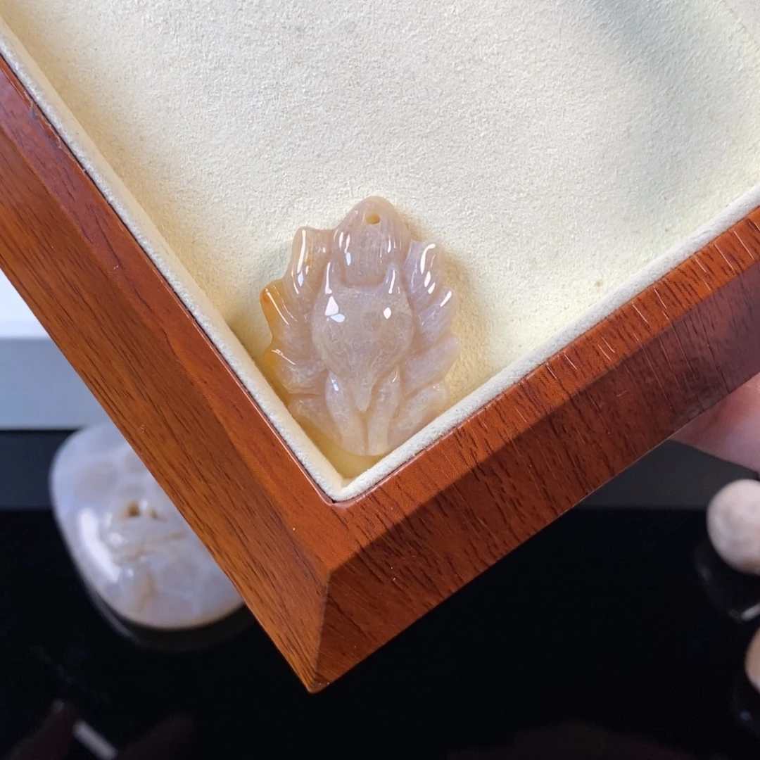 硅化珊瑚（珊瑚玉）未镶嵌颈饰20