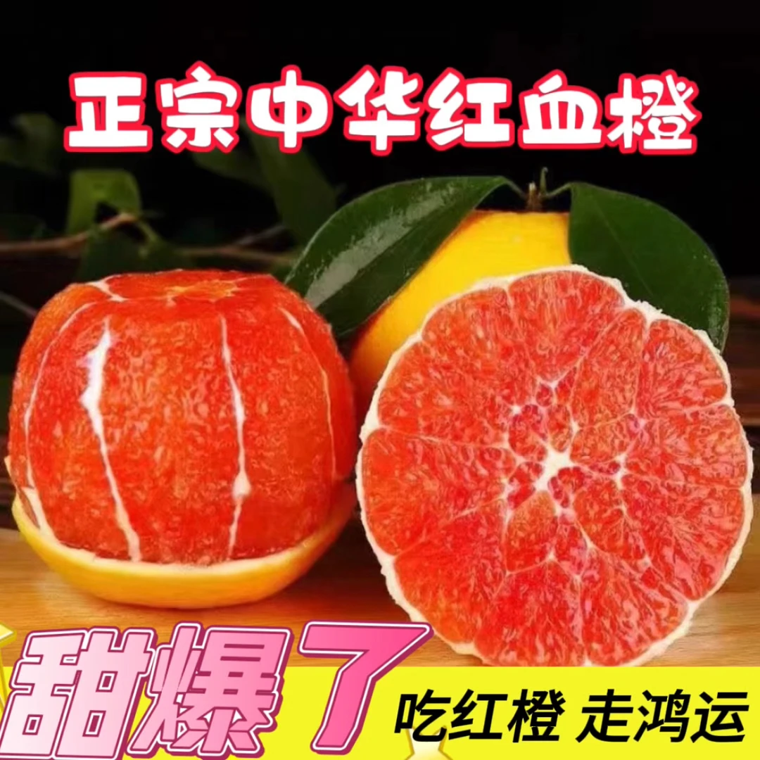 （田美丽专属 ）橙中贵族中华红橙湖北宜昌新鲜水果当季5/9斤天然