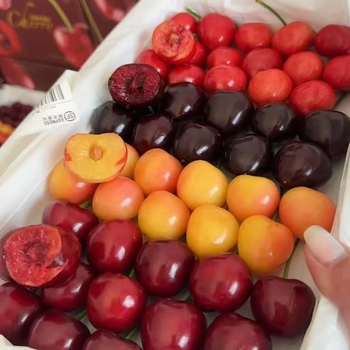 顺丰Y【5斤大果】大连陆地头茬大樱桃（萨米托、美早、美国红）3斤5斤J产地次日达脆甜皮薄核小美早/萨米脱/美国红