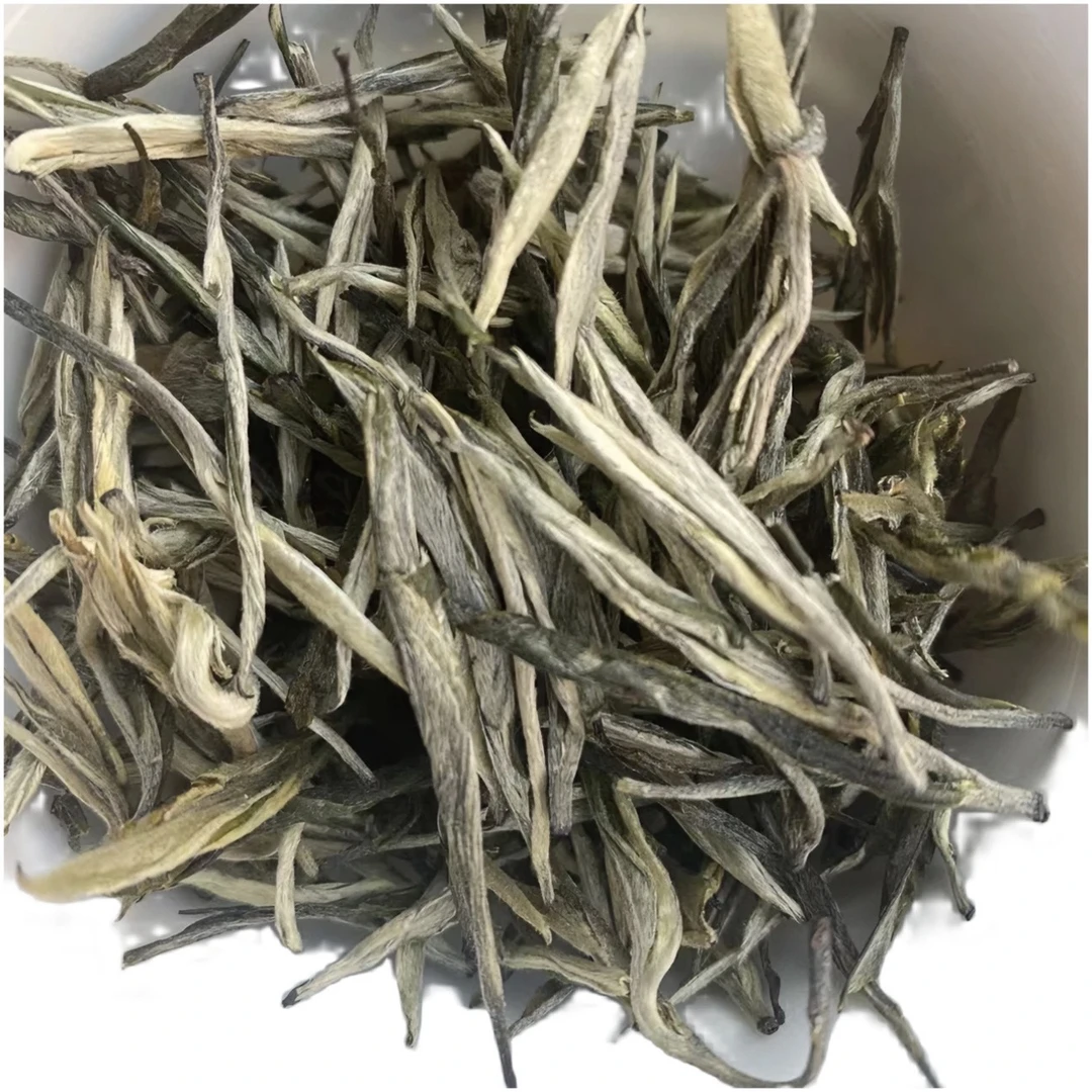 25早春芽尖绿茶《松针绿茶》
