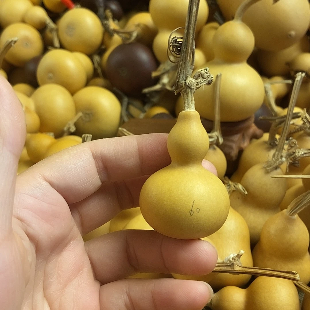 文玩葫芦 完美主义者 慎拍60