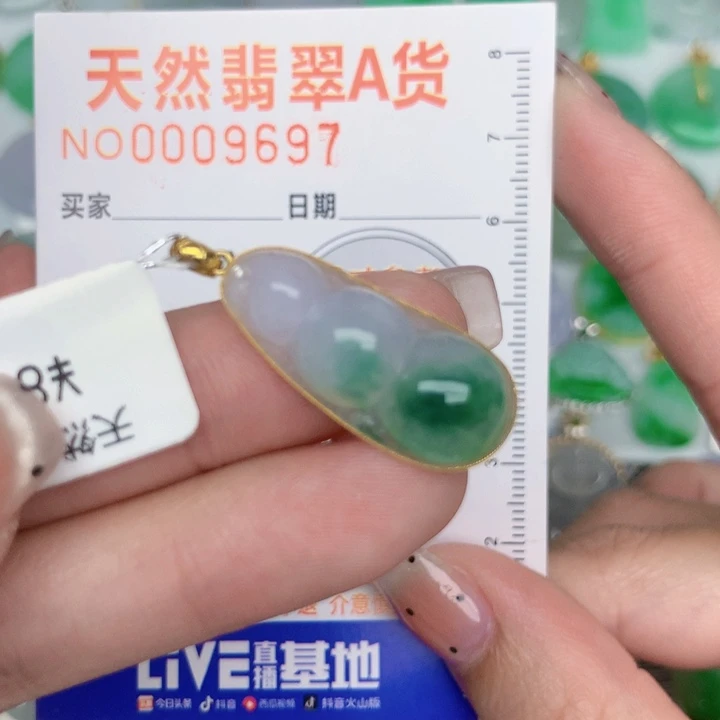 翡翠18K金镶嵌颈饰豆子