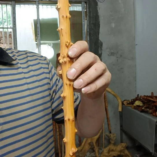 奥***鑫香榧木高山 檬子木文玩料