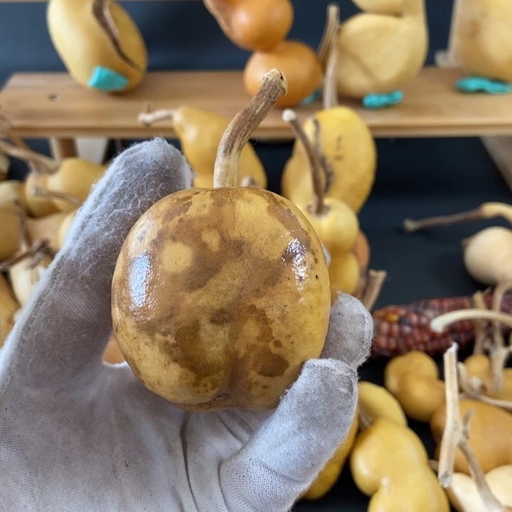 ?****姐dfuurrjkurddghj