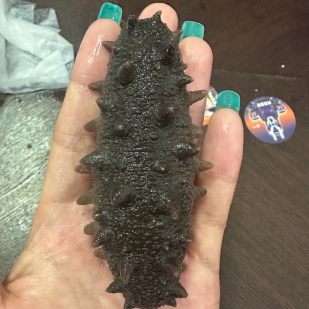 高压即食海参高端海珍品