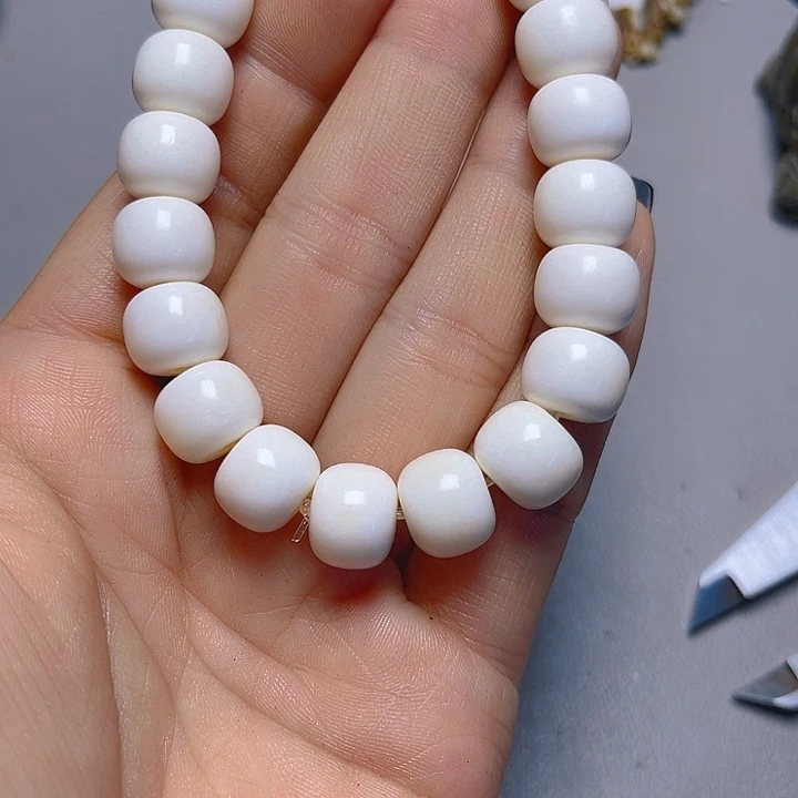 大果紫檀（缅甸花梨）