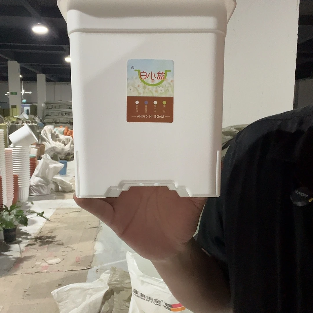 方1号白5个无托盘