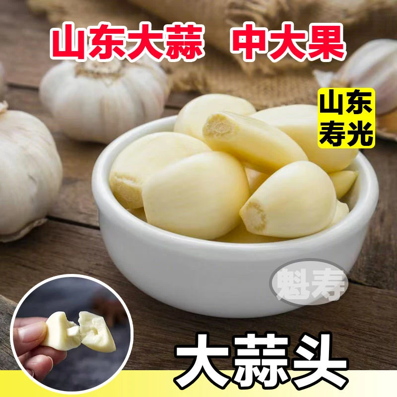 大蒜种子种籽长蒜苔头蒜种蒜苗红皮紫皮干蒜四季蒜头苗种祘苗种籽