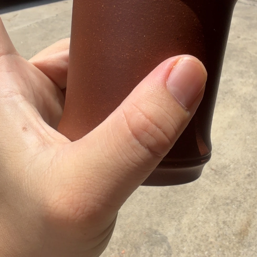 茶杯紫砂小郭紫砂
