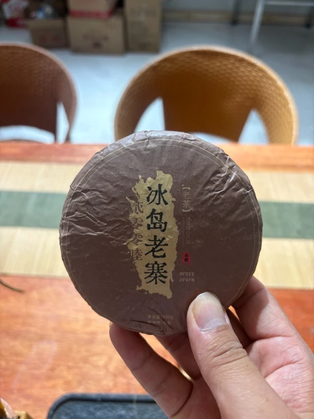 冰岛老寨混采春茶