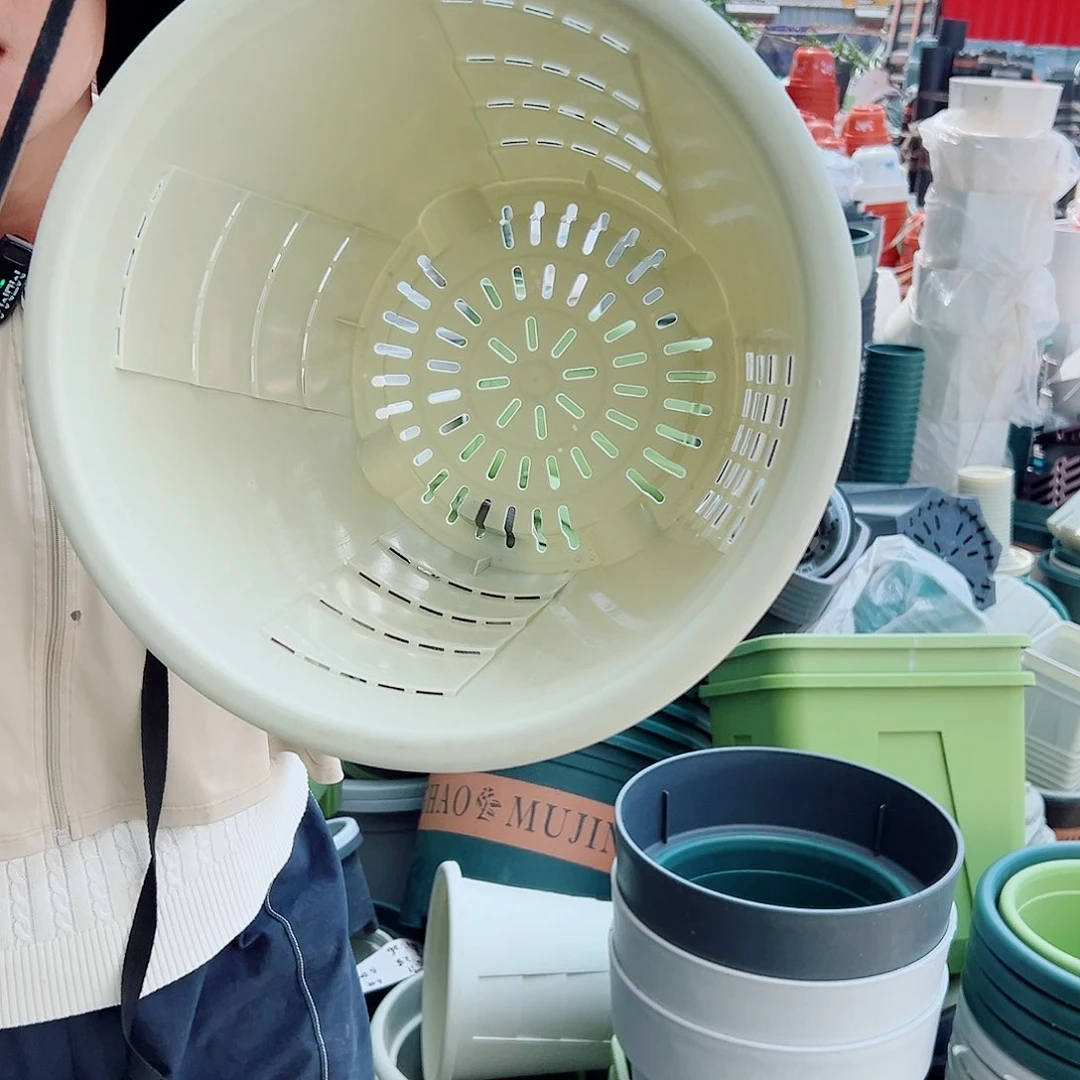 玫瑰320#米白色5个无托