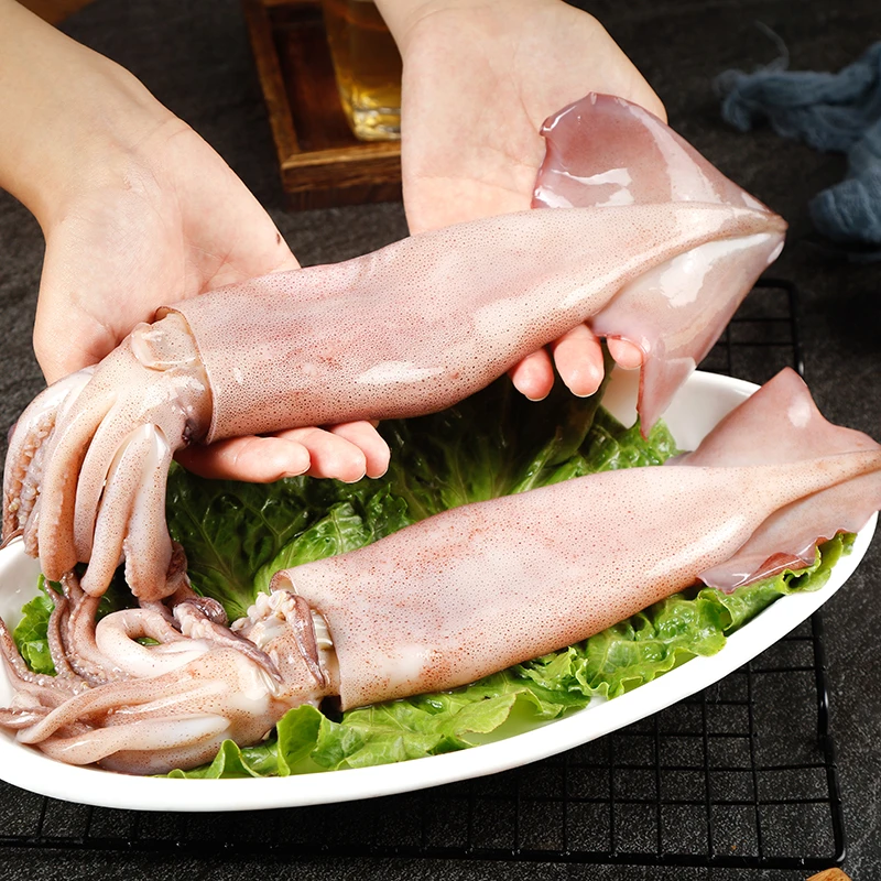 鱿鱼新鲜冷冻海鲜水产鲜活不泡药不漂白新鲜鱿鱼2斤4斤每条6-8两