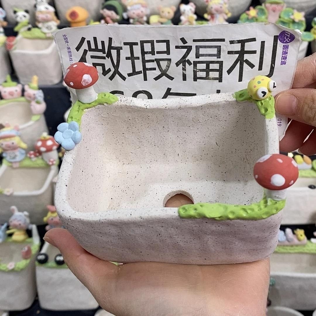 米诺多肉植物花盆109