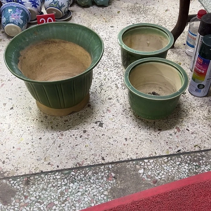 纵***️111111111111111111