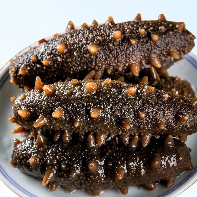 【大连鲜食海参】正宗大连辽参刺参精选10-12头500g送酱油