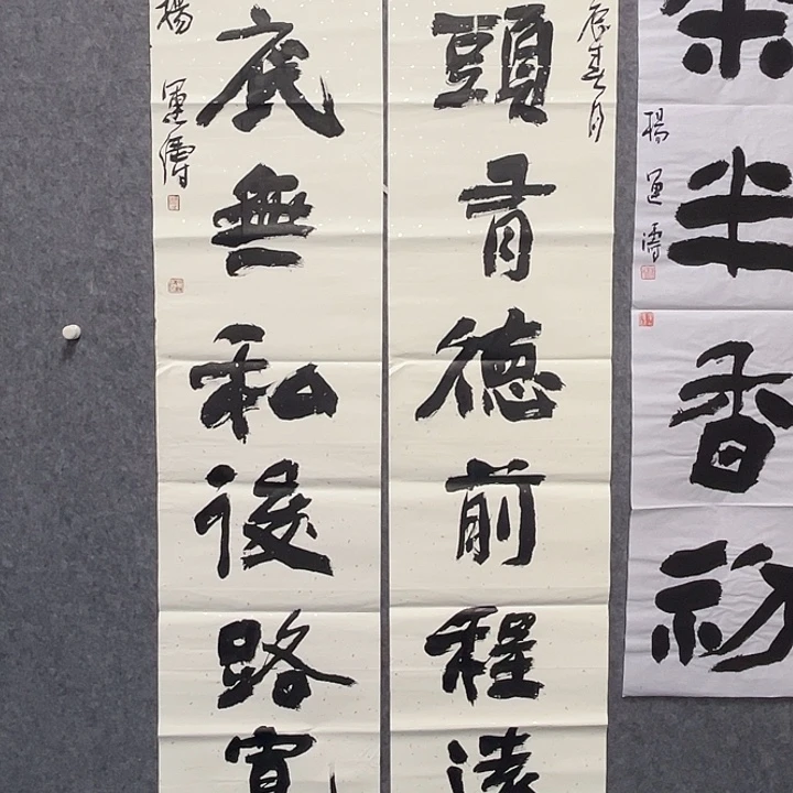 书法杨运涛书法作品软片